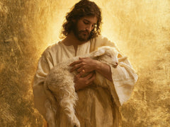 Jesus and the Lamb — Repose Across the Sunlight