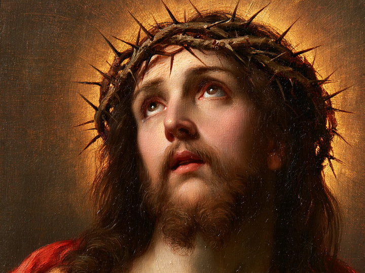 Jesus Crowned with Thorns — The Appeal with a Honey Halo