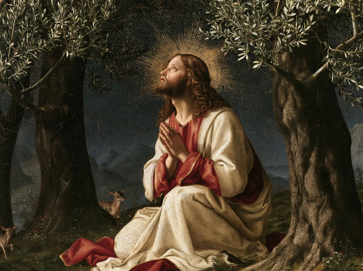Jesus in Gethsemane — The Halo in the Mountain Night