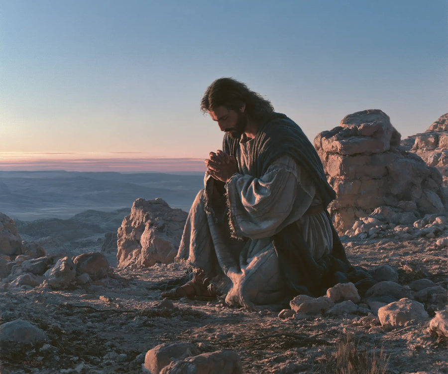 Jesus in the Desert — Prayer between Rose and Blue