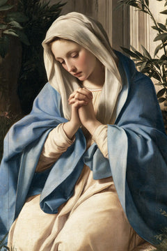 Virgin Mary in Prayer — Joined Hands beside the Pale Face