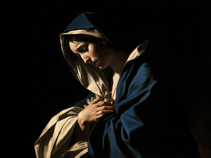 Our Lady of Sorrows — The Heart beneath the Blue Wing